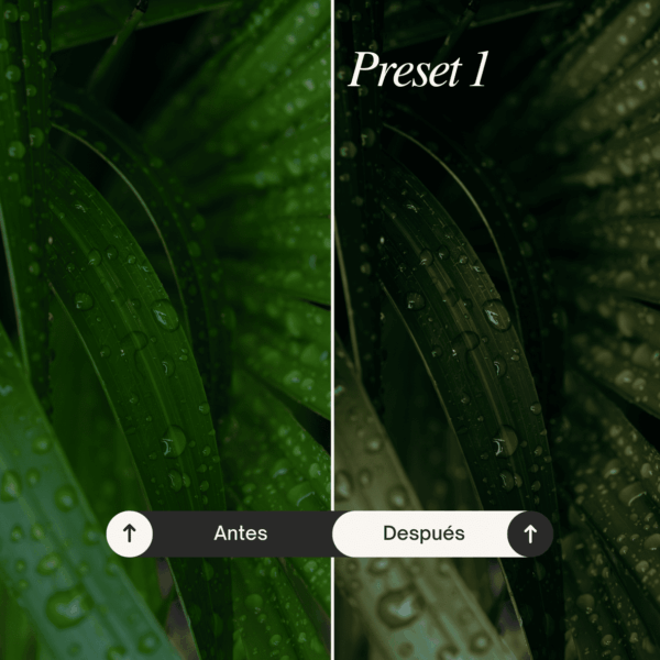Pack Nature - Lightroom Presets - Imagen 2