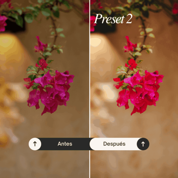 Pack Nature - Lightroom Presets - Imagen 3