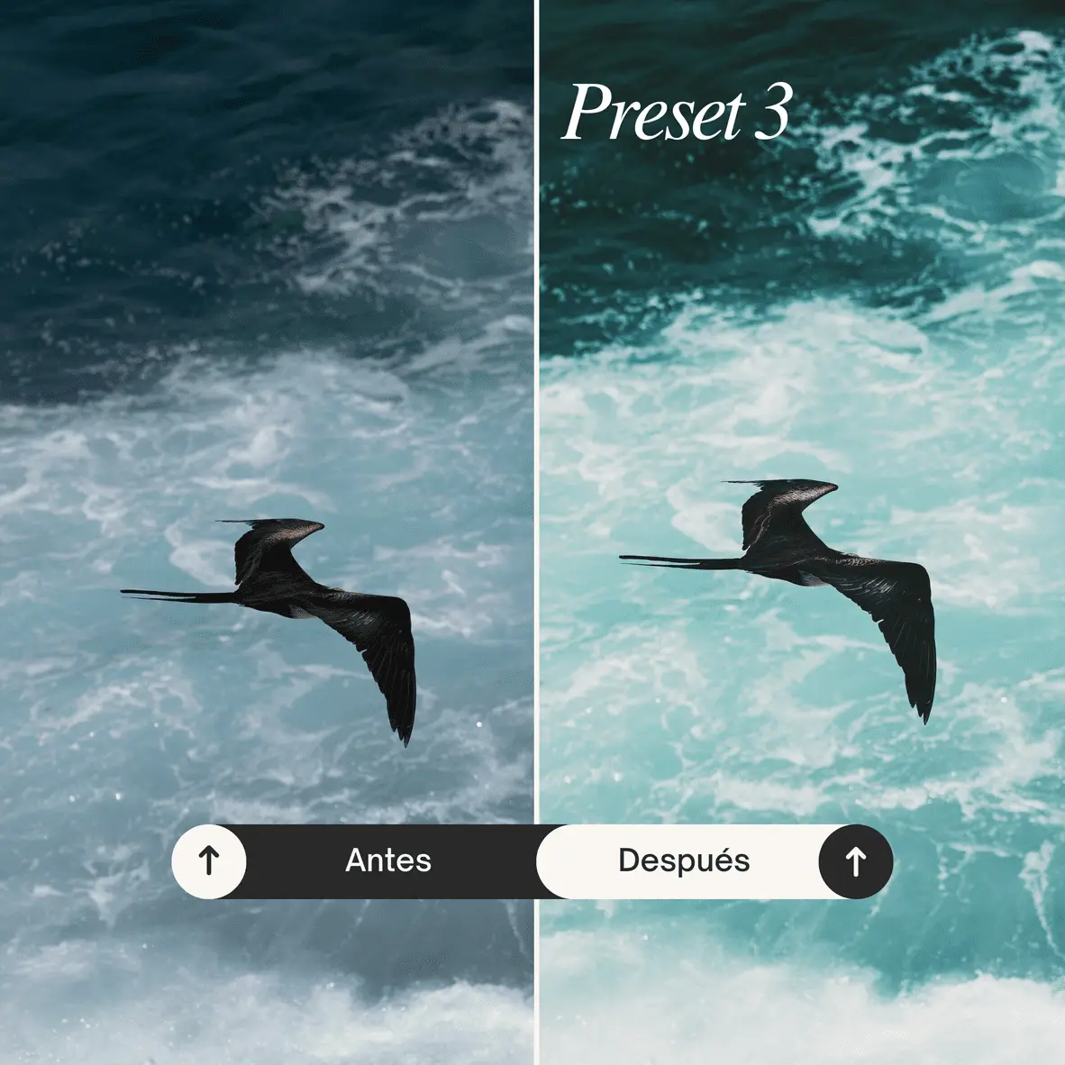 Pack Full - 32 Lightroom Presets - Imagen 4