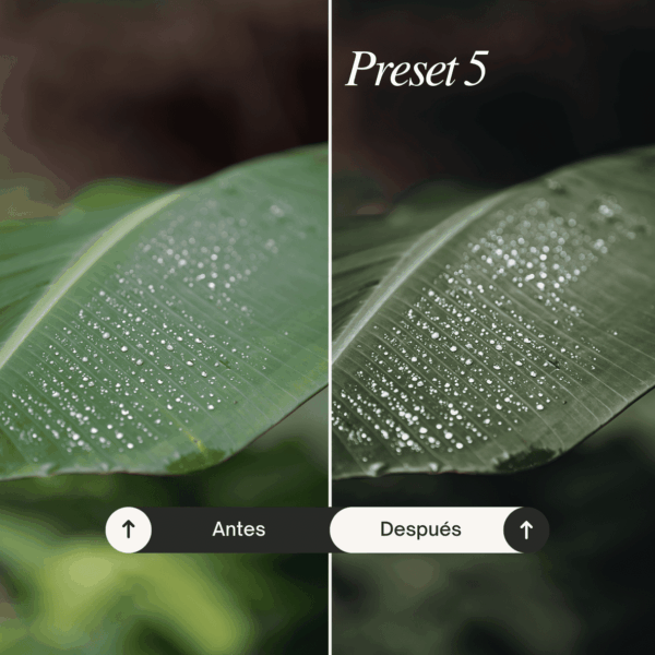 Pack Nature - Lightroom Presets - Imagen 6