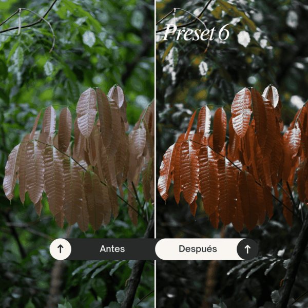Pack Nature - Lightroom Presets - Imagen 7