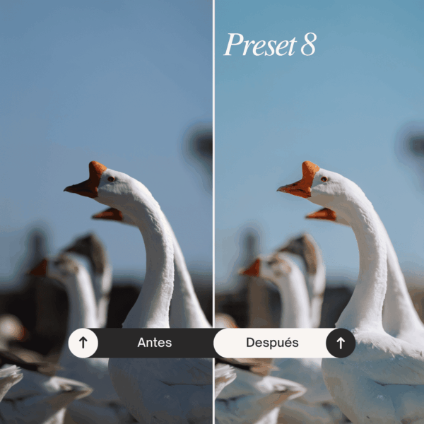Pack Nature - Lightroom Presets - Imagen 9