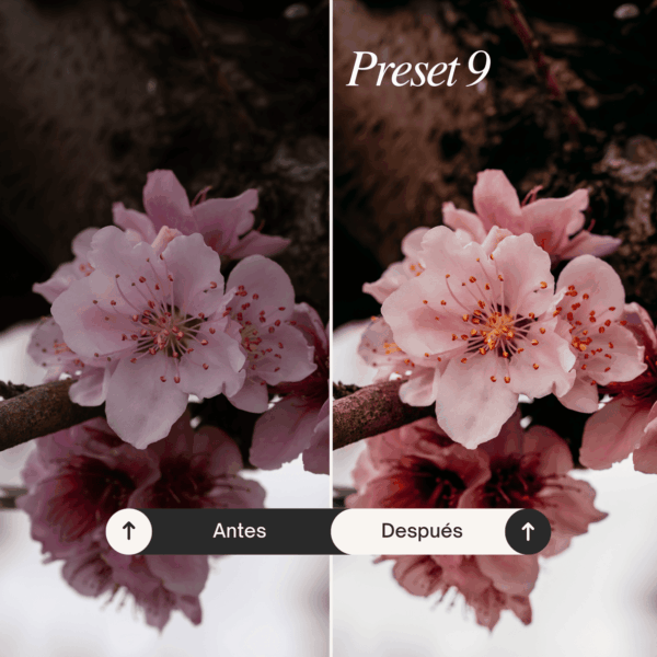 Pack Nature - Lightroom Presets - Imagen 10