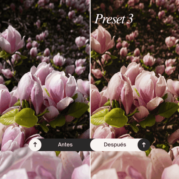 Pack Go! - Lightroom Presets - Imagen 4