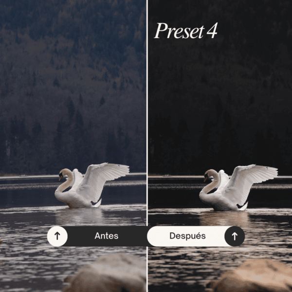 Pack Go! - Lightroom Presets - Imagen 5